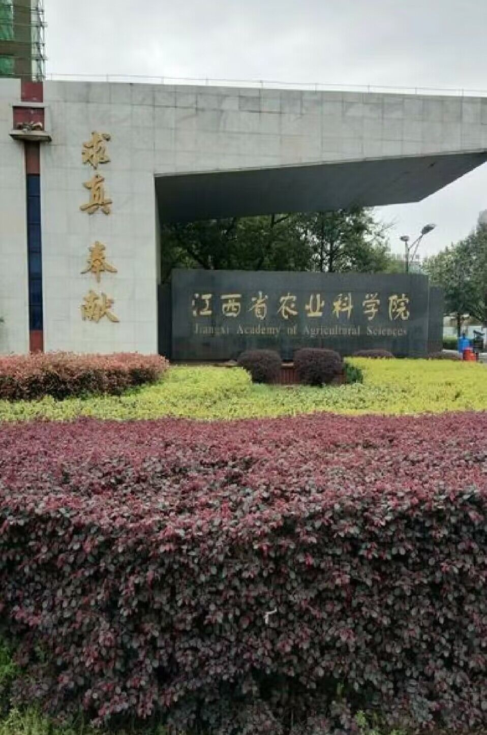 江西省農(nóng)業(yè)科學(xué)院——嫁接機采購項目